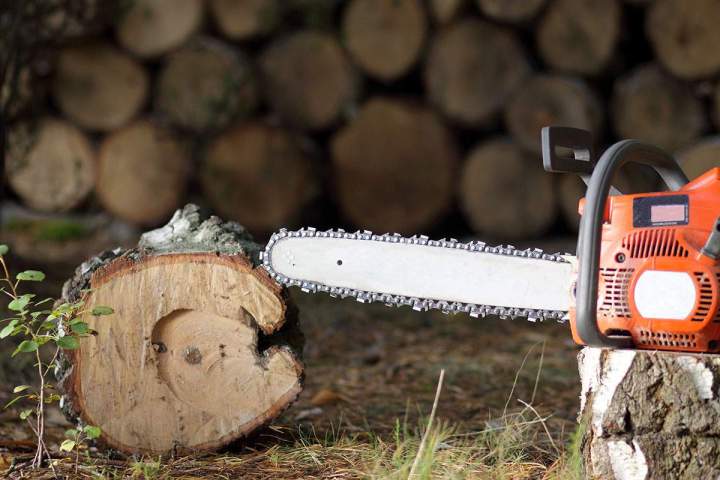 location de tronçonneuse près de Revel