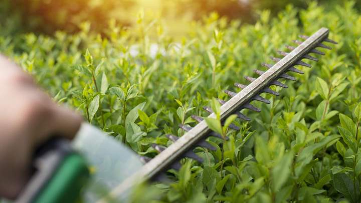 Location matériel espace vert Près de Revel